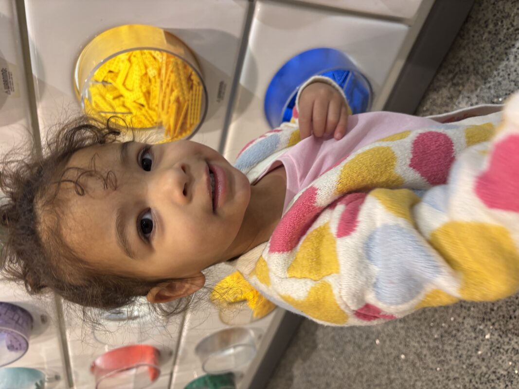 Cassidy Nola F. portfolioImage 688161