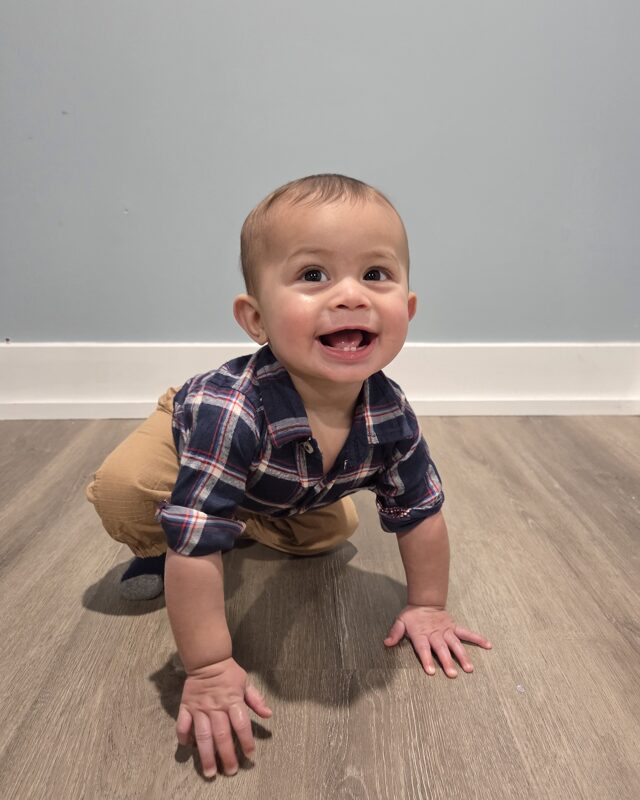 Alvey P. portfolioImage 683260