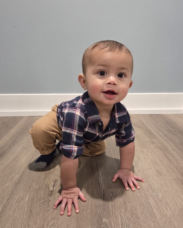 Alvey P. portfolioImage 683265