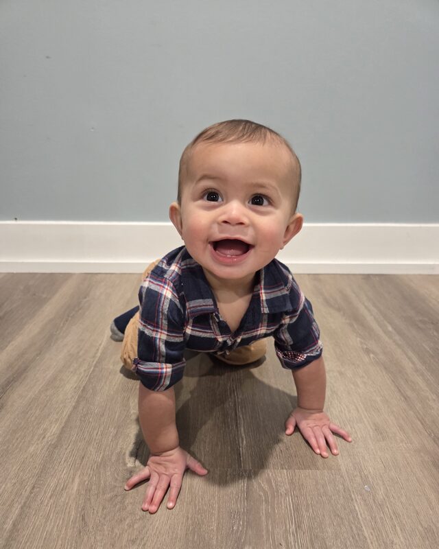 Alvey P. portfolioImage 683270