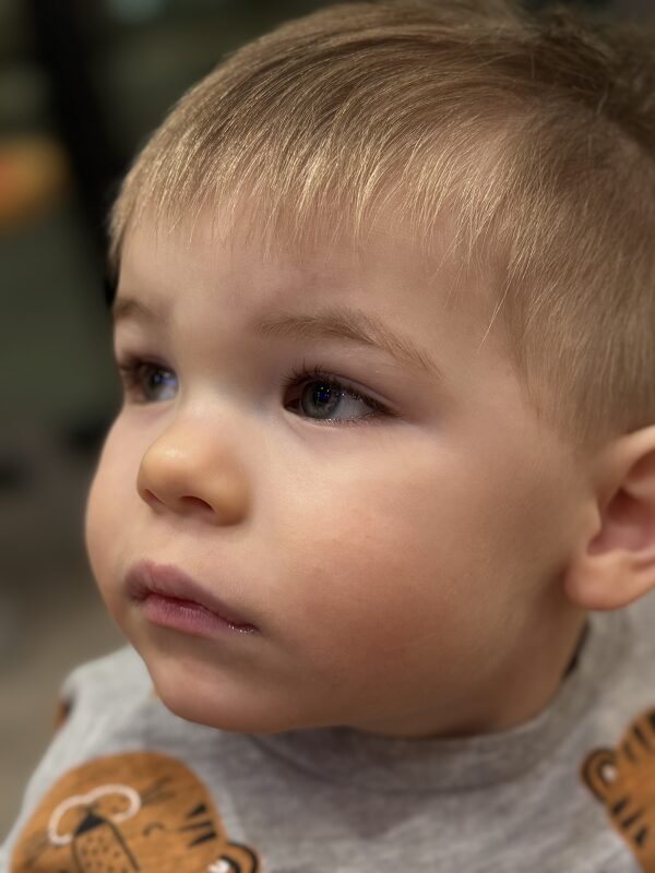 Brody B. portfolioImage 688394