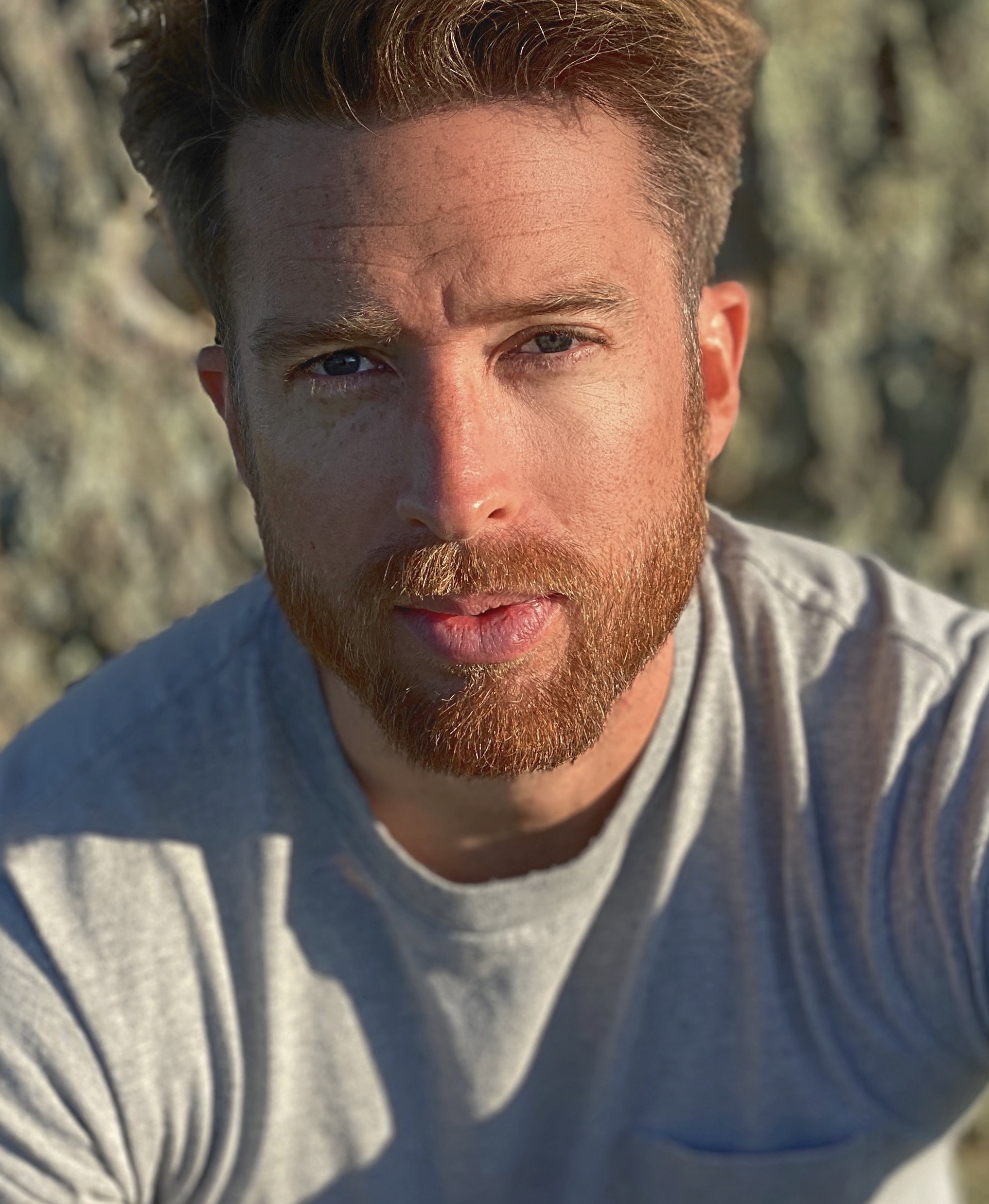 Daniel Abeles